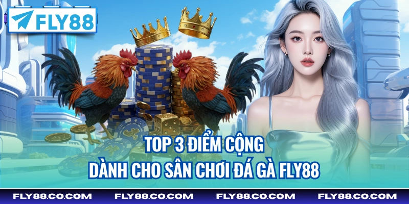 Top 3 điểm cộng dành cho sân chơi Đá Gà Fly88