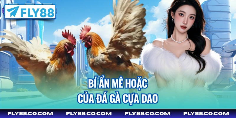 Bí ẩn mê hoặc của đá gà cựa dao
